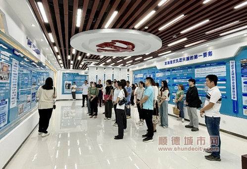 陈村 培育新质生产力,做强 两新 产业链